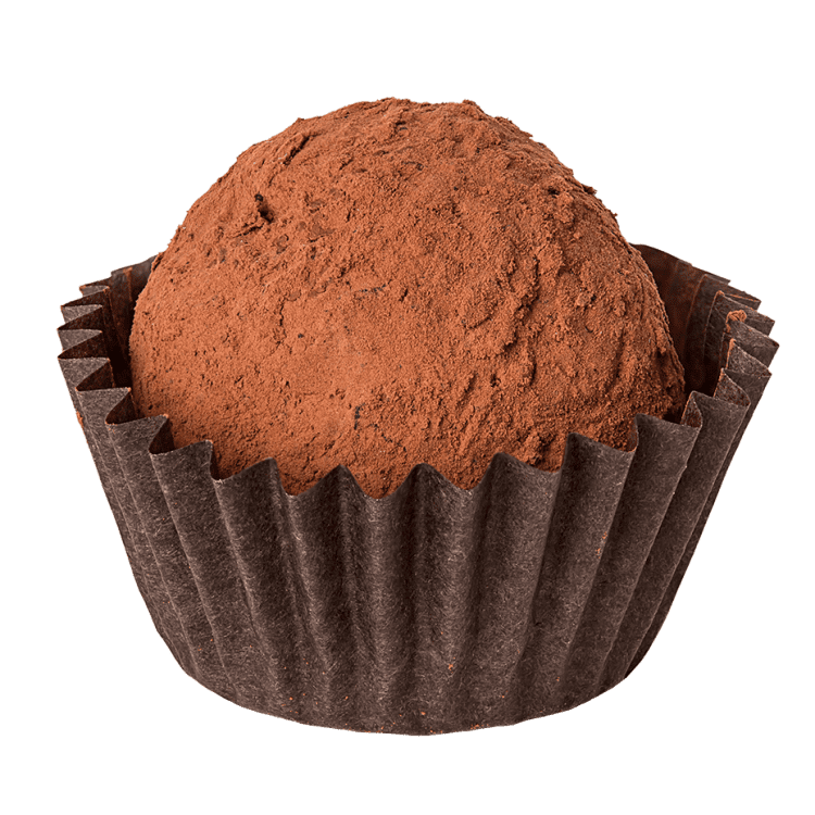 chocolate truffle isolated